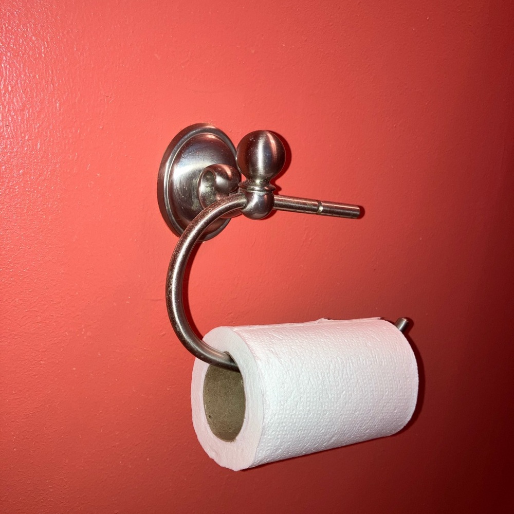 Brushed nickel toilet paper holder